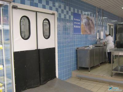 Двери маятниковые общего назначения МД(ОН)