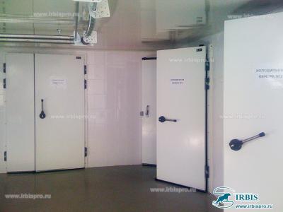 Распашные двери промышленной серии РД (Пром)