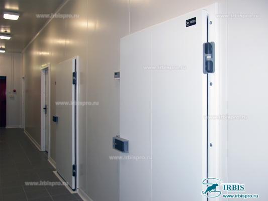 Распашные двери промышленной серии РД (Пром)